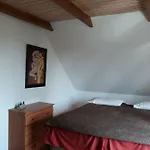 Bizon