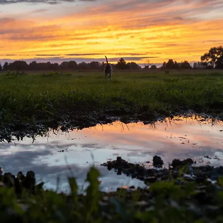 Bizon Venkovský dům