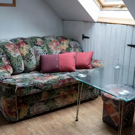 Country house Bizon *