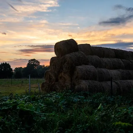Bizon Venkovský dům Sadowne