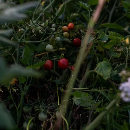 Venkovský dům Bizon