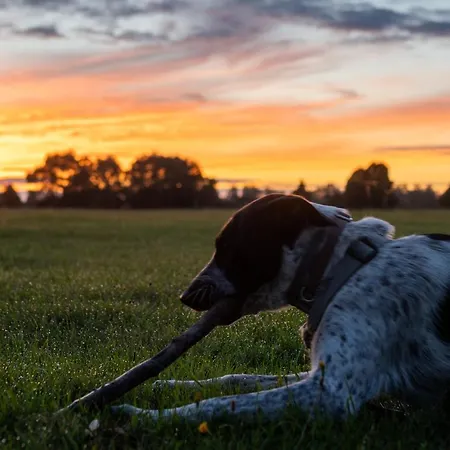 Venkovský dům Bizon *