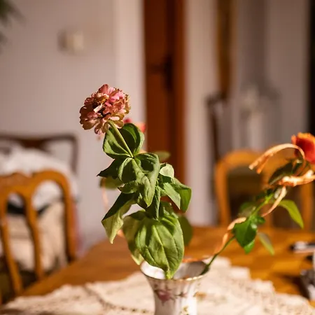 Bizon Country house *