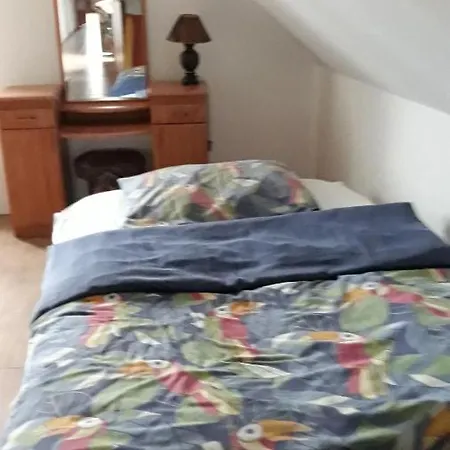 Casa de Campo Bizon *