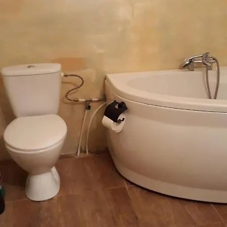 Bizon Venkovský dům Sadowne