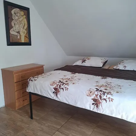 Bizon Venkovský dům Sadowne