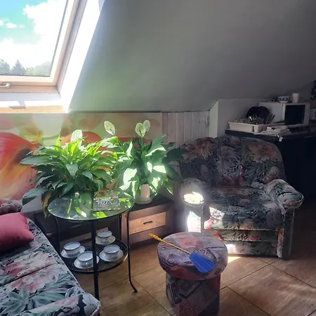 Bizon Venkovský dům