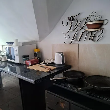 Bizon Country house *
