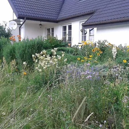 Bizon Country house *