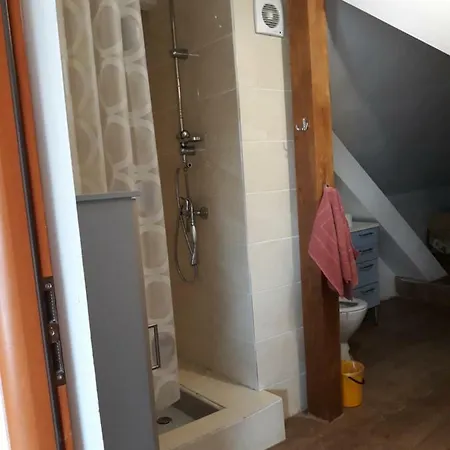 Bizon Venkovský dům Sadowne