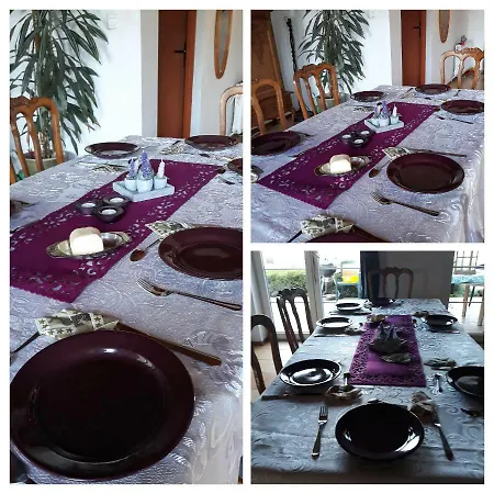 Country house Bizon Sadowne