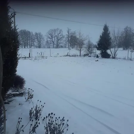 Venkovský dům Bizon *