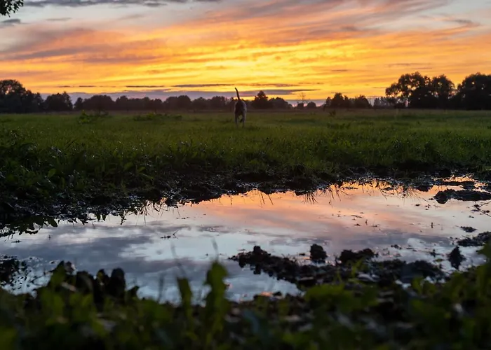 Bizon Gospodarstwo wiejskie