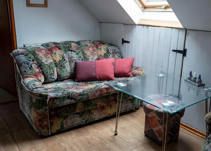 Gospodarstwo wiejskie Bizon *