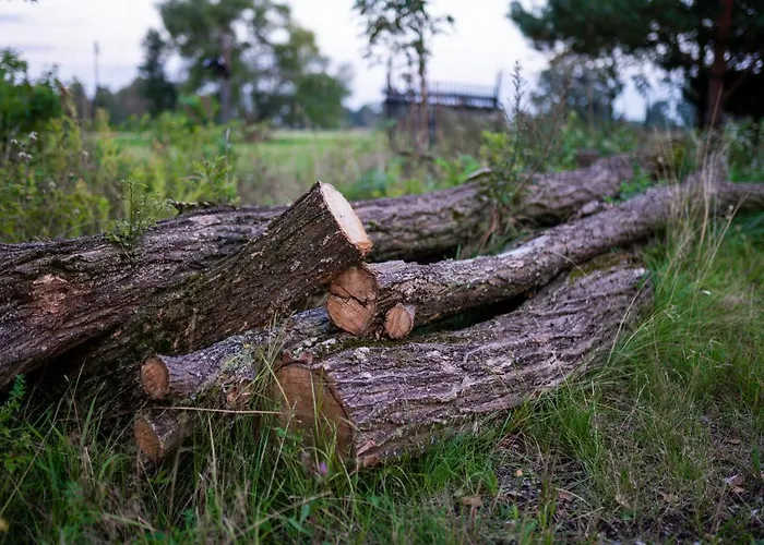 Gospodarstwo wiejskie Bizon Sadowne