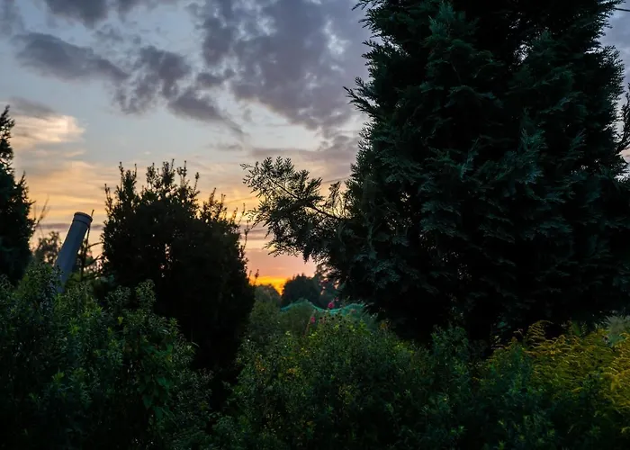 Bizon Gospodarstwo wiejskie *