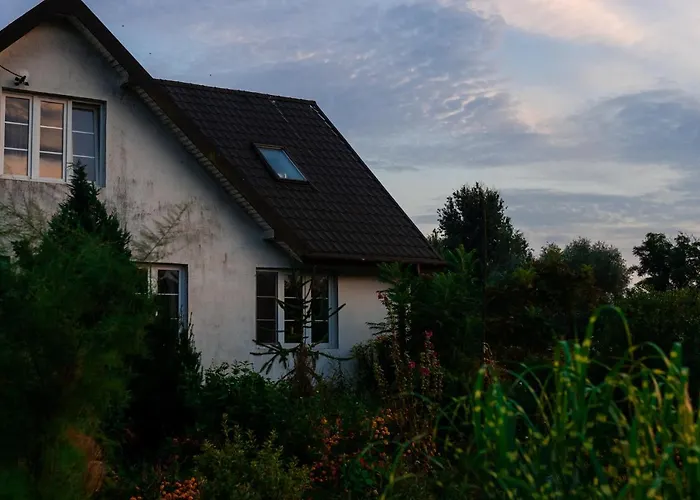 Bizon Gospodarstwo wiejskie Sadowne