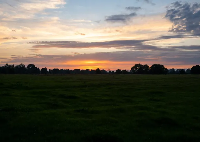 Bizon Gospodarstwo wiejskie Sadowne