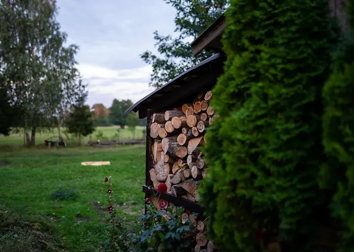 Bizon Gospodarstwo wiejskie *