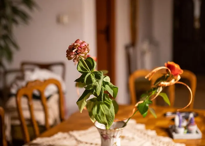 Bizon Gospodarstwo wiejskie *