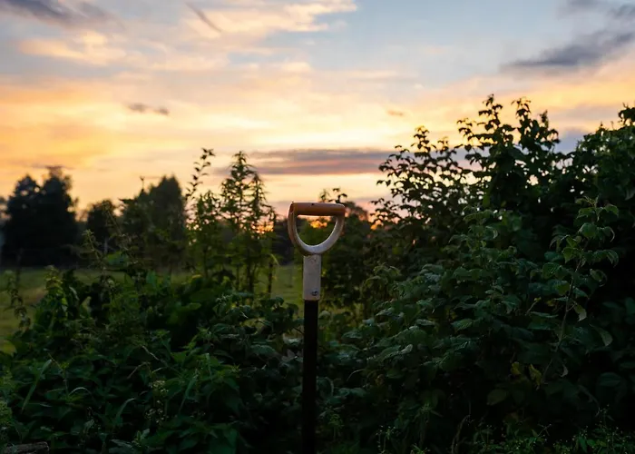 Bizon Gospodarstwo wiejskie *