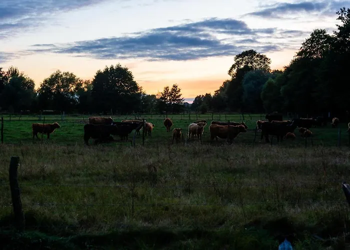 Bizon Gospodarstwo wiejskie