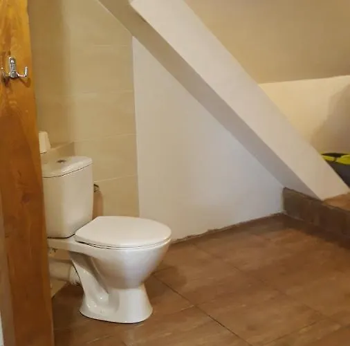 Gospodarstwo wiejskie Bizon *