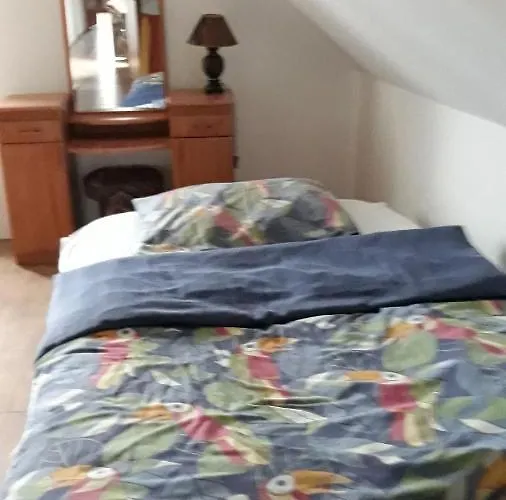 Venkovský dům Bizon *