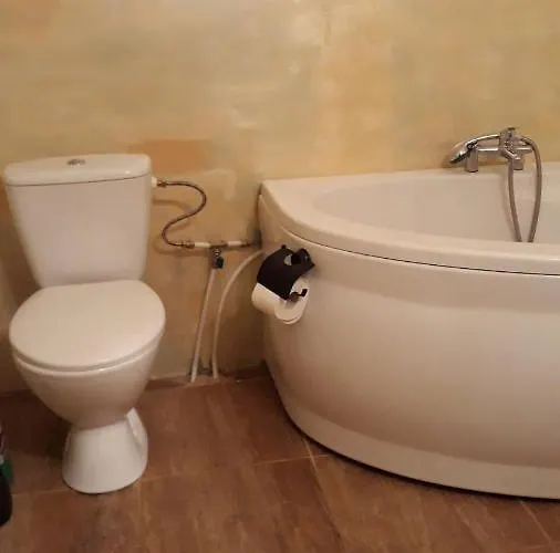 Bizon Gospodarstwo wiejskie Sadowne