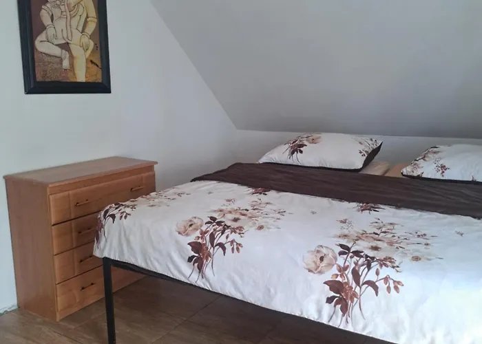 Bizon Gospodarstwo wiejskie Sadowne