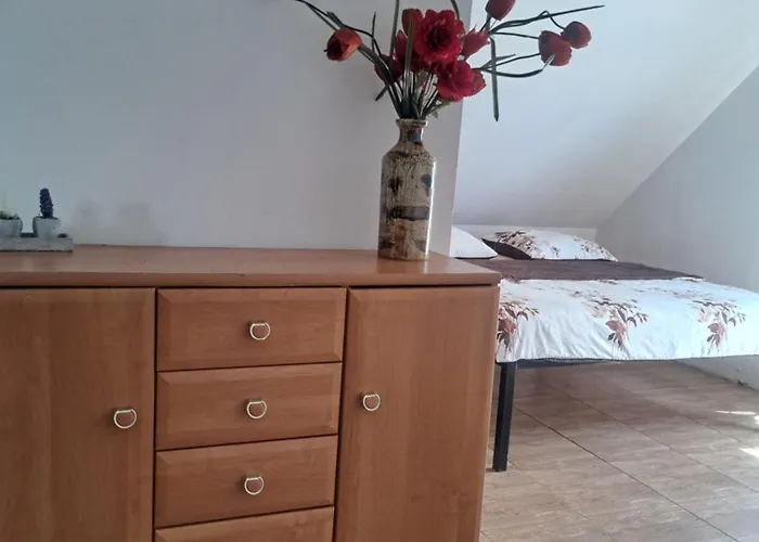 Gospodarstwo wiejskie Bizon Sadowne