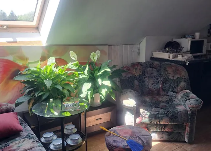 Bizon Gospodarstwo wiejskie