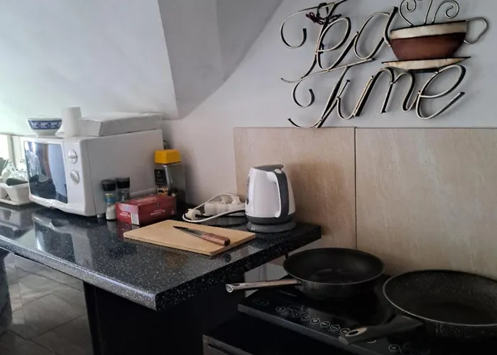 Bizon Gospodarstwo wiejskie *