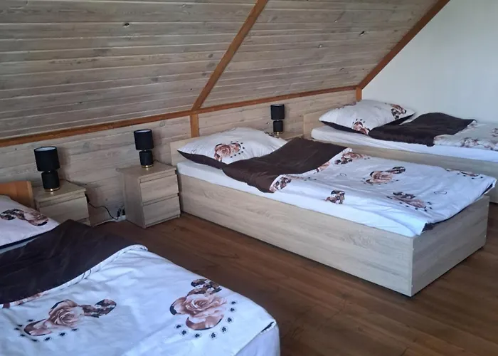 Gospodarstwo wiejskie Bizon Sadowne