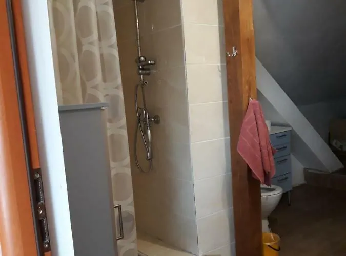 Bizon Gospodarstwo wiejskie Sadowne