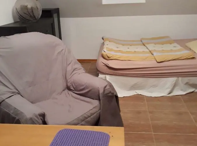 Bizon Gospodarstwo wiejskie