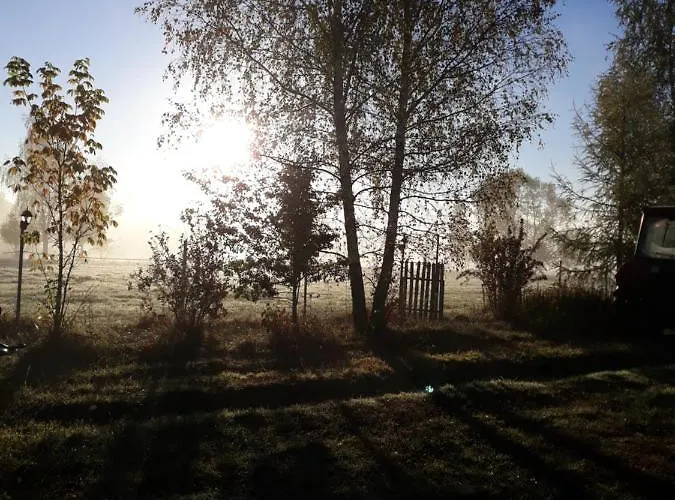 Gospodarstwo wiejskie Bizon Sadowne