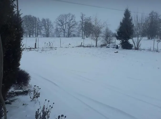 Gospodarstwo wiejskie Bizon *